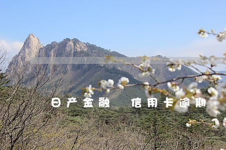 日产金融 信用卡逾期 日产金融 信用卡逾期